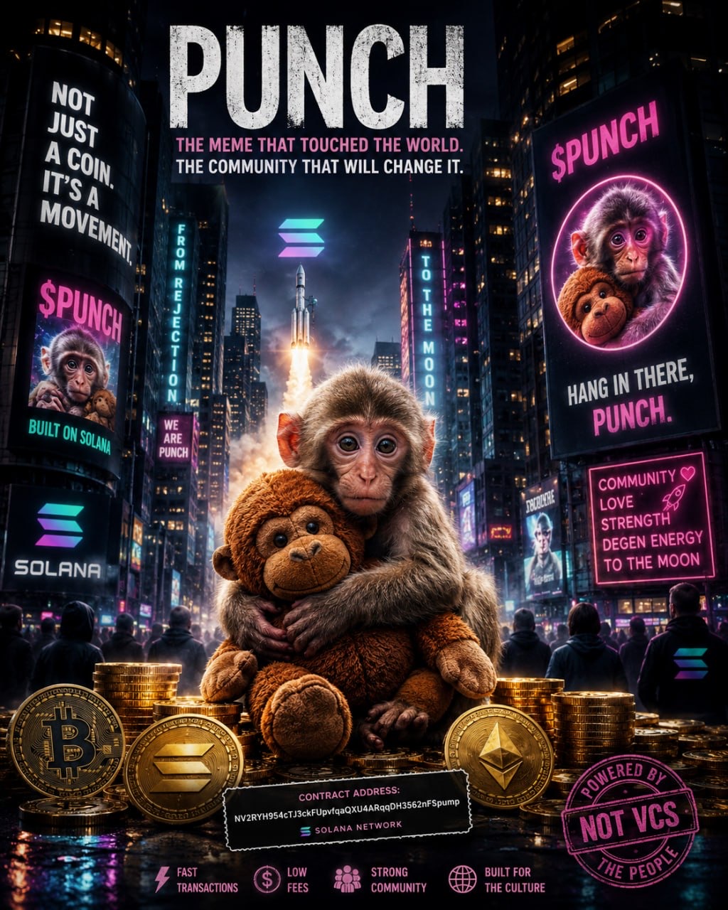 $PUNCH meme 33