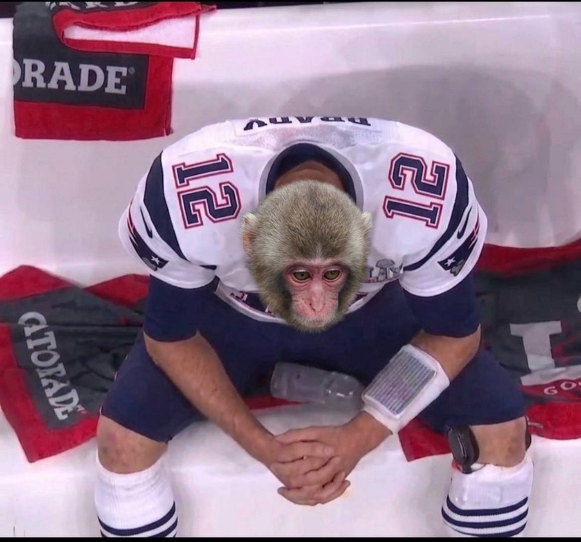 $PUNCH meme 18