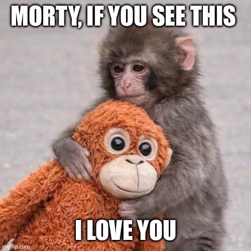 $PUNCH meme 5